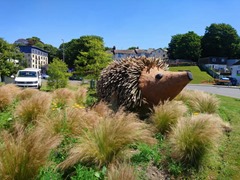 Giant Hedgehog Sculptures, Trefalgar Roundabout, Truro, Summer 2019